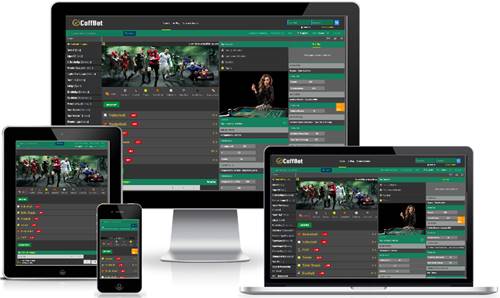 Betting Site Script Install Live