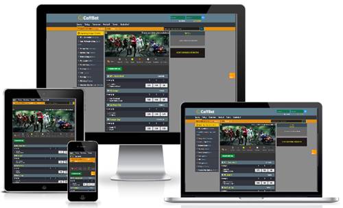 SFlyy Sports  Online Learning For Sports Betting & Casino Games