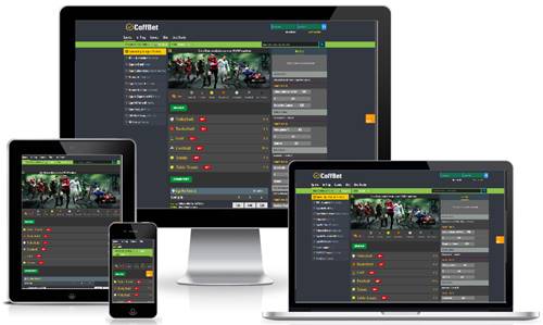 sportsbook_software